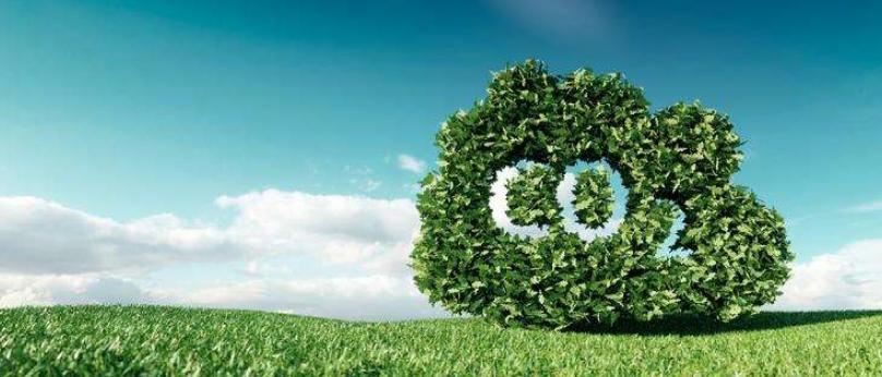 Environment