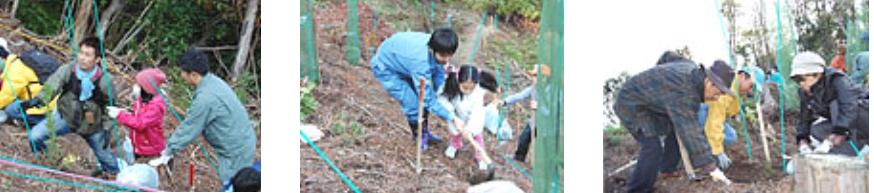 Tree Planting Activities